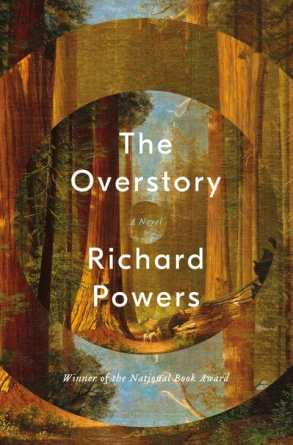 overstory